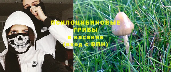 хмурый Костерёво