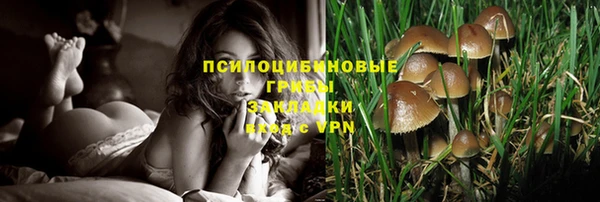 хмурый Костерёво
